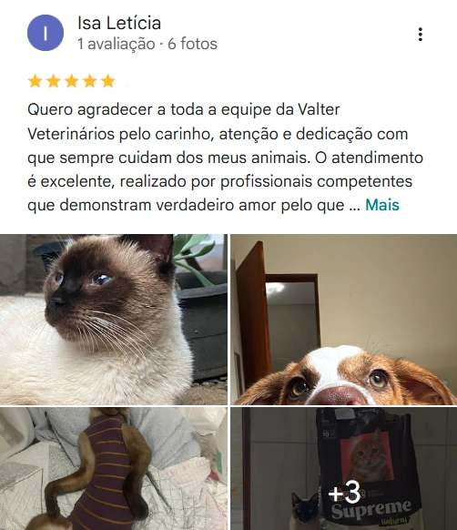 Avaliação de cliente no Google sobre a Valter Veterinários