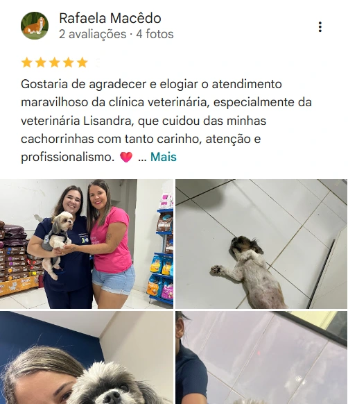 Avaliação de cliente no Google sobre a Valter Veterinários