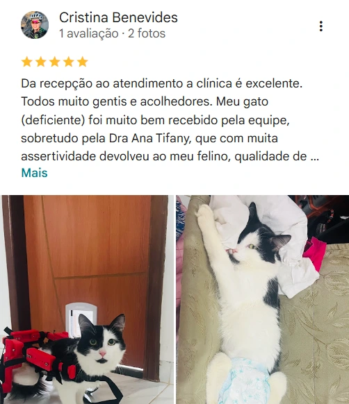 Avaliação de cliente no Google sobre a Valter Veterinários