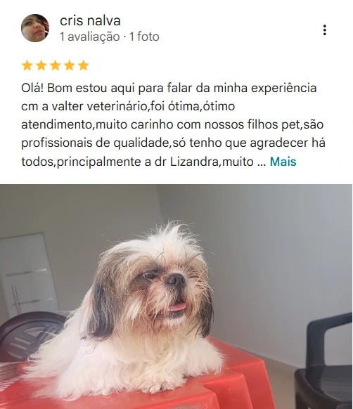 Avaliação de cliente no Google sobre a Valter Veterinários